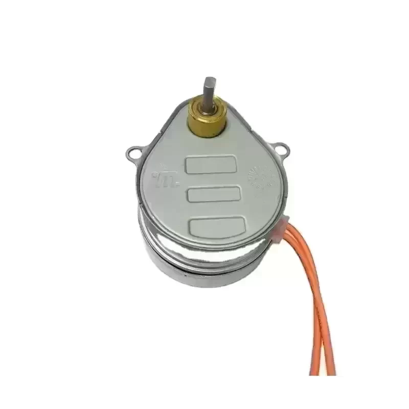 AC Synchronous Motor 49tyz Universal for 22MM Mid-Position Hansen